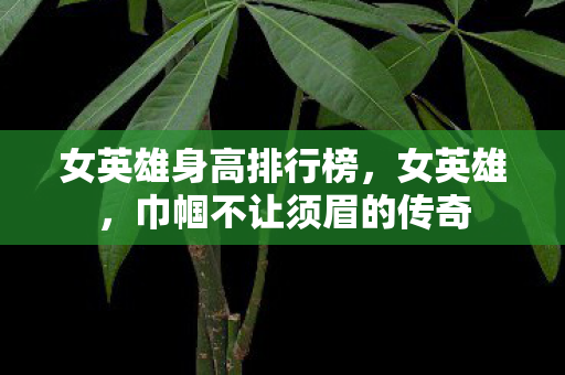 巾帼不让须眉的传奇图片