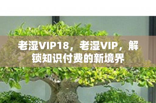 解锁知识付费的新境界图片