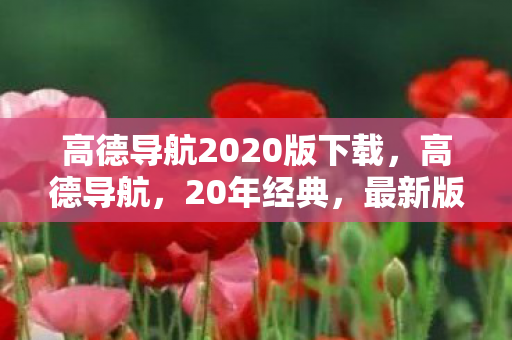 高德导航2020版下载图片