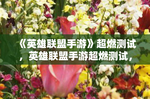 英雄联盟手游超燃测试图片