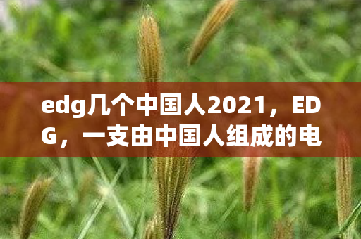 一支由中国人组成的电竞战队图片