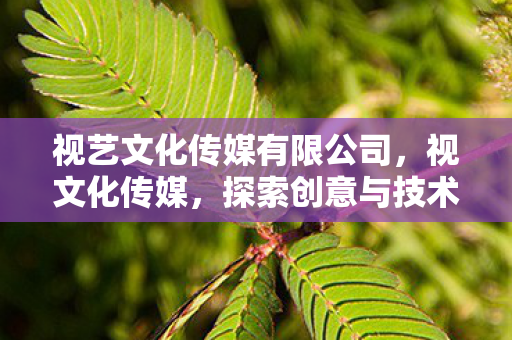 探索创意与技术的融合之路图片