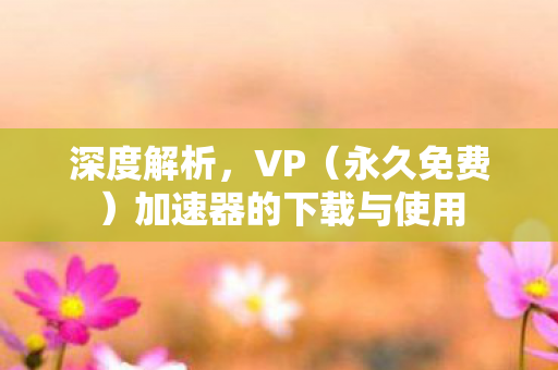 加速器的下载与使用图片