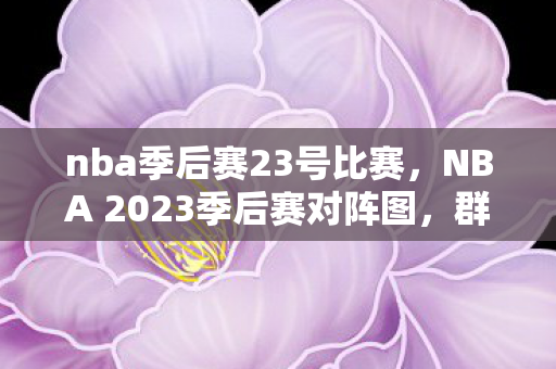 NBA 2023季后赛对阵图图片