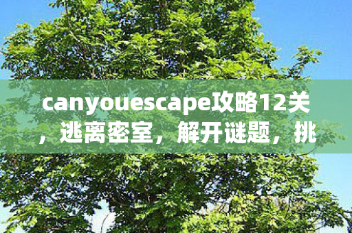 canyouescape攻略12关,逃离密室,解开谜题,挑战智慧 canyouescape攻略12关,逃离密室,解开谜题,挑战智慧
