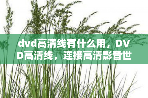 连接高清影音世界的桥梁图片