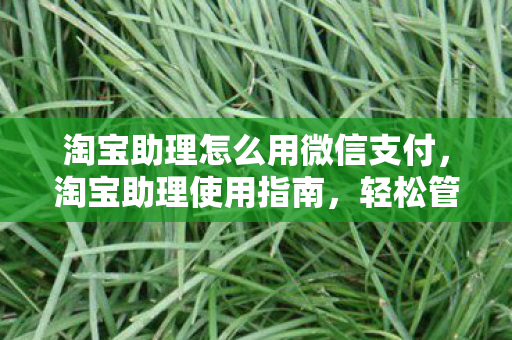 淘宝助理怎么用微信支付图片