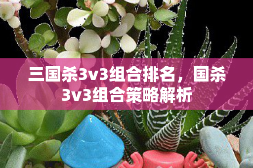 国杀3v3组合策略解析图片