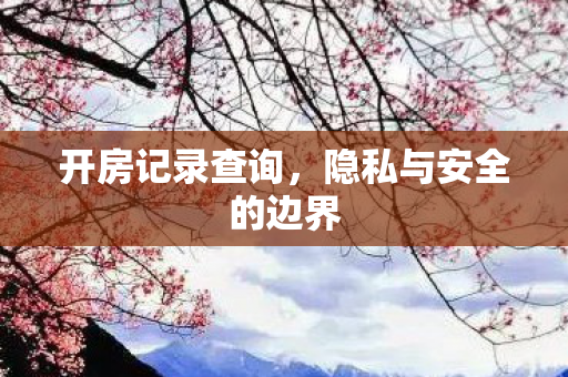 隐私与安全的边界图片