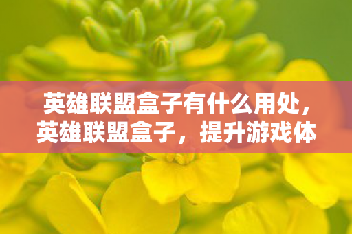 英雄联盟盒子有什么用处图片