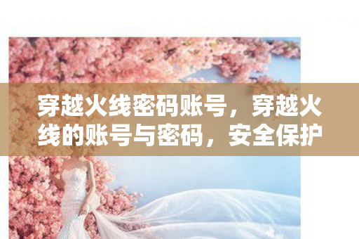 安全保护与隐私的重要性图片