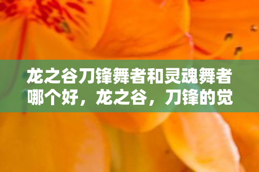 龙之谷刀锋舞者和灵魂舞者哪个好图片