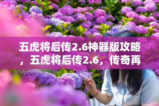 五虎将后传2图片