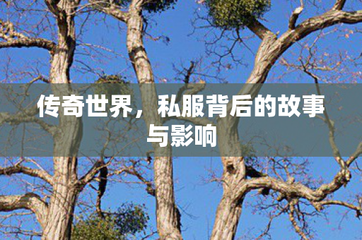 私服背后的故事与影响图片