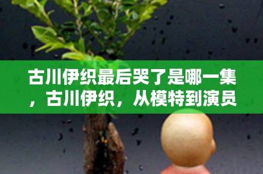 古川伊织最后哭了是哪一集，古川伊织，从模特到演员的华丽蜕变