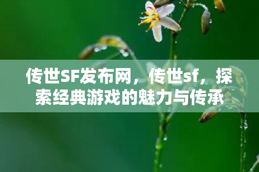 传世SF发布网，传世sf，探索经典游戏的魅力与传承