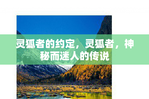 灵狐者的约定，灵狐者，神秘而迷人的传说