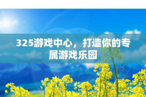 325游戏中心,打造你的专属游戏乐园 325游戏中心,打造你的专属游戏乐园