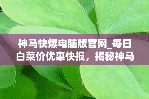 一个游戏玩家的宝藏发现图片