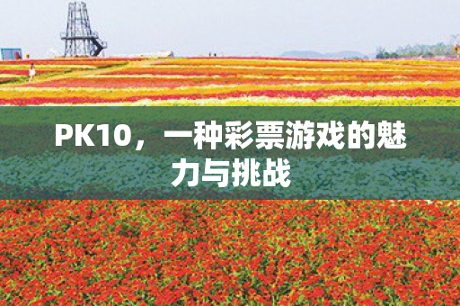 一种彩票游戏的魅力与挑战图片