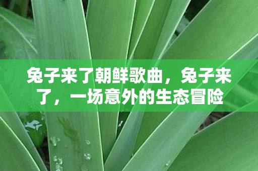 一场意外的生态冒险图片