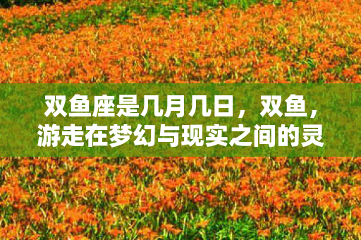 游走在梦幻与现实之间的灵魂图片