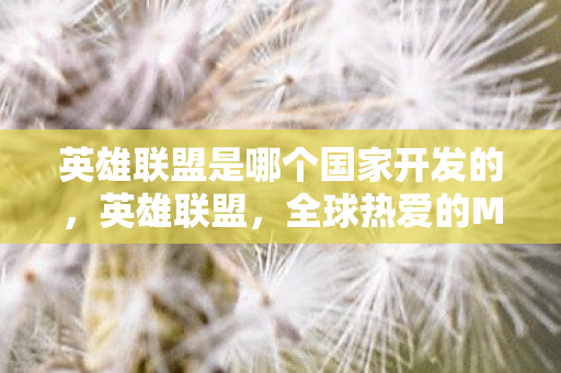 英雄联盟是哪个国家开发的图片