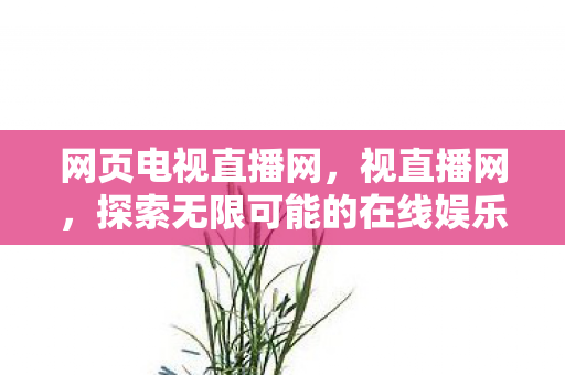 探索无限可能的在线娱乐新纪元图片