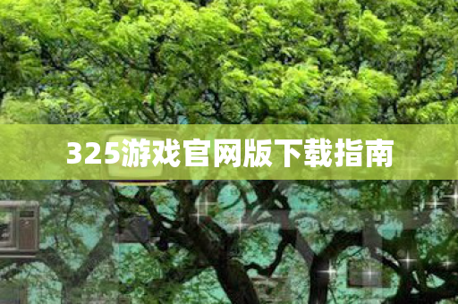 325游戏官网版下载指南