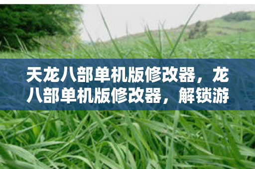 天龙八部单机版修改器图片