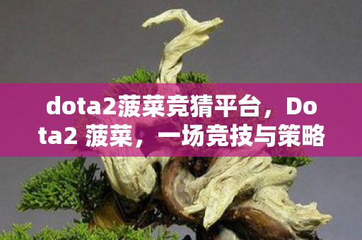 dota2菠菜竞猜平台图片