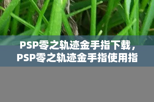 PSP零之轨迹金手指使用指南图片