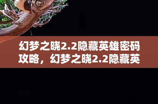 2隐藏英雄密码攻略图片