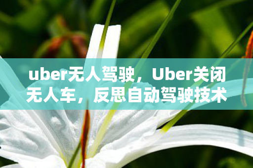 uber无人驾驶，Uber关闭无人车，反思自动驾驶技术的挑战与未来前景