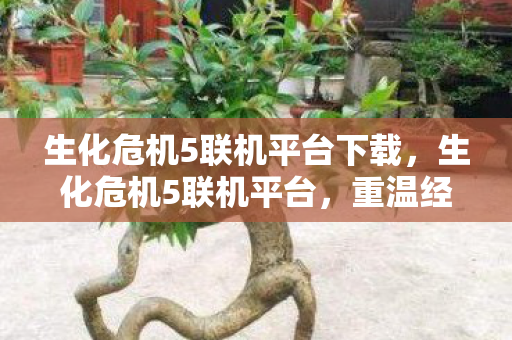 生化危机5联机平台下载图片