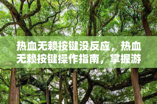 热血无赖按键操作指南图片