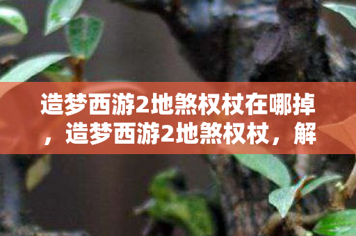 造梦西游2地煞权杖在哪掉图片