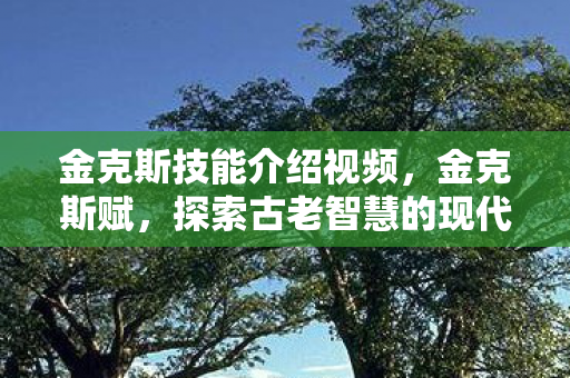 探索古老智慧的现代启示图片