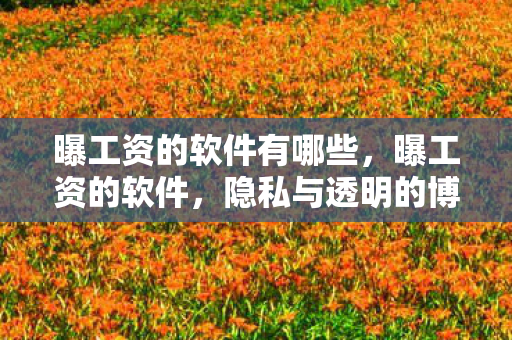 曝工资的软件有哪些图片