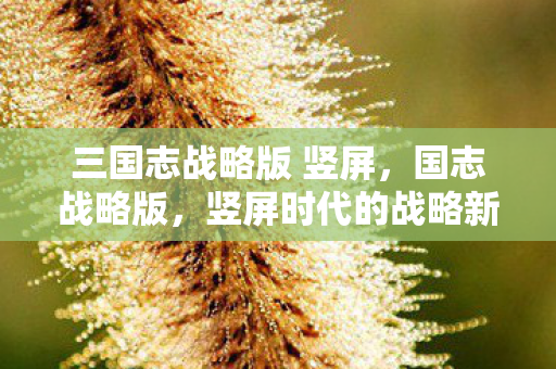 竖屏时代的战略新篇章图片