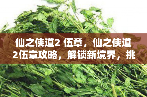 仙之侠道2伍章攻略图片