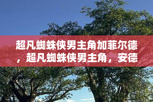 超凡蜘蛛侠男主角加菲尔德图片