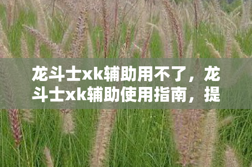 龙斗士xk辅助使用指南图片