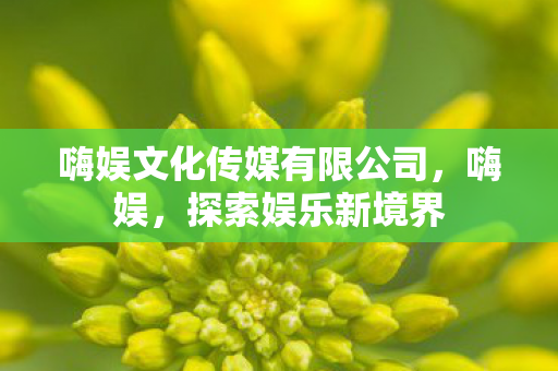 嗨娱文化传媒有限公司图片