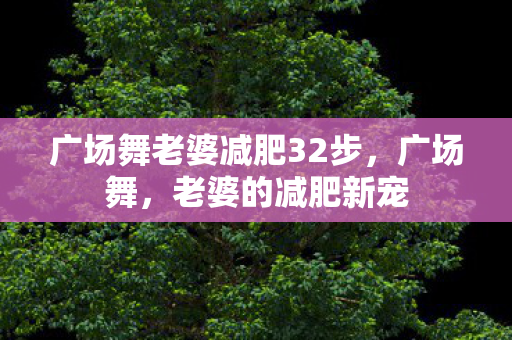 广场舞老婆减肥32步图片