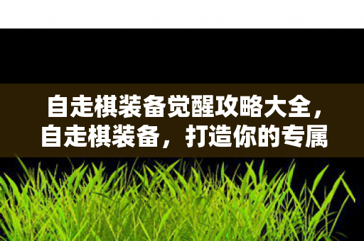 自走棋装备觉醒攻略大全图片