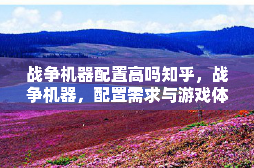 配置需求与游戏体验的完美结合图片