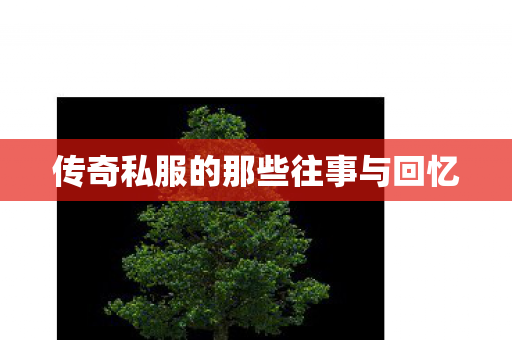 传奇私服的那些往事与回忆图片