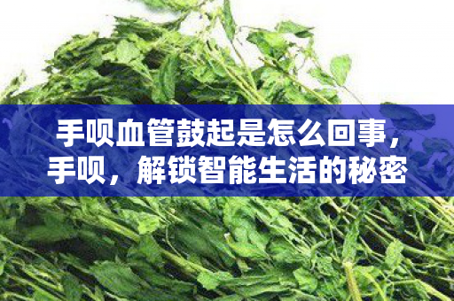 手呗血管鼓起是怎么回事图片