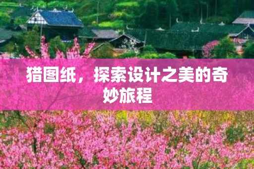 探索设计之美的奇妙旅程图片